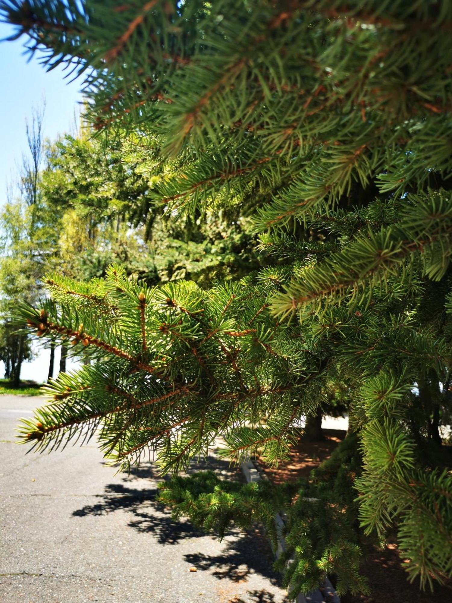 Blue Sevan Hotel Dış mekan fotoğraf